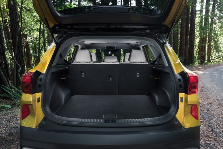 קיה סלטוס קיה סלטוס